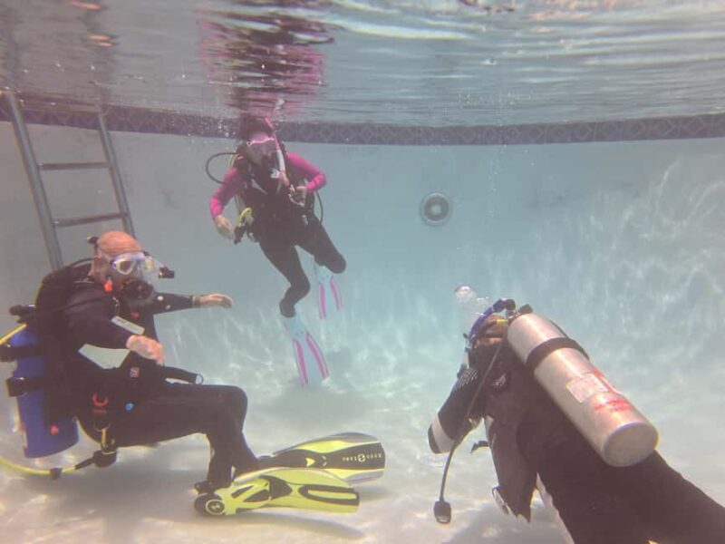 HUDSON, FL: PADI Discover Scuba Diving Experience - The $50 Credit and Future Courses