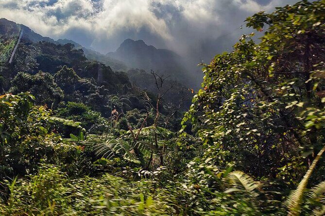 Hue Adventure Trekking and Sightseeing in Bach Ma National Park - Exploring the Itinerary: What to Expect from Dawn to Dusk