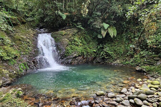 Hue Adventure Trekking and Sightseeing in Bach Ma National Park - FAQ