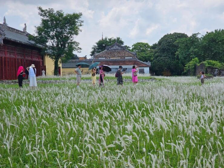 Hue City Tour Half Day: Imperial City and Tu Duc Tomb by Car - Good To Know
