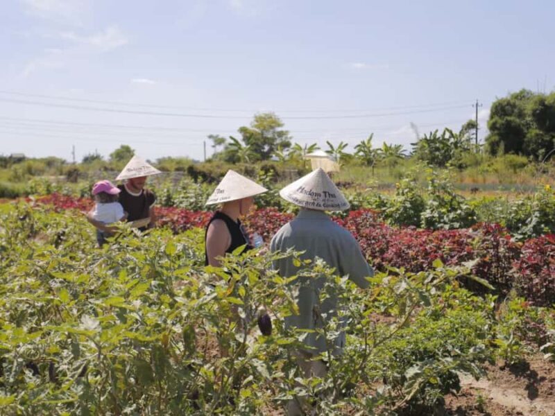 Hue City: Visit Organic Farm & Authentic Local Cooking Class - FAQ