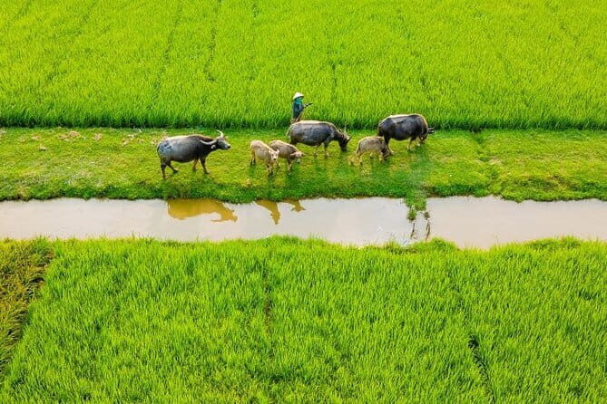 Hue Countryside Private Motorbike Tour and Crafts Experience - Frequently Asked Questions