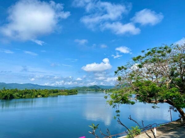 Hue Half Day Tour: Perfume River, Imperial Citadel, Market - Tips for Travelers