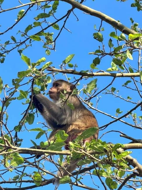 Hue: Private Car to/from Hoi An via Multi Attractions(1-Way) - Final Thoughts