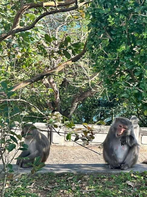 Hue: Private Car to/from Hoi An via Multi Attractions(1-Way) - FAQs