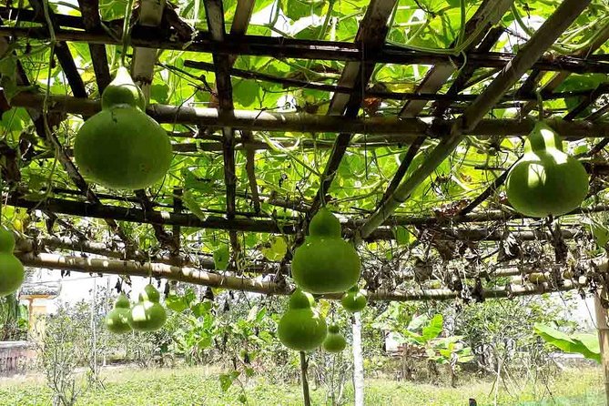 Hue Private Tour to Thuy Bieu Village 1 Day - Cancellation Policy