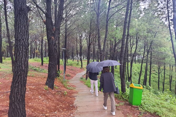 Hue Sightseeing Tours With 3 Tombs and Vong Canh Hill - The Sum Up