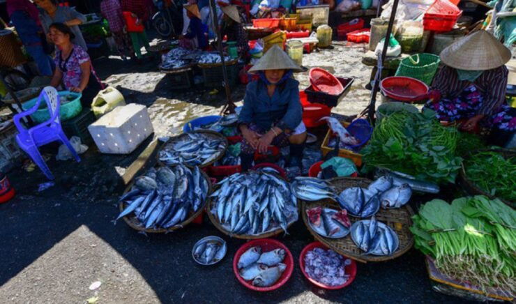 Hue: Thanh Toan Bridge Motorbike Tour With Cooking Class - Tour Validity and Availability