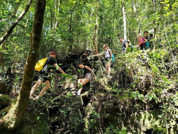 Hue to Bach Ma National Park Round-Trip by Private Car - Itinerary Highlights