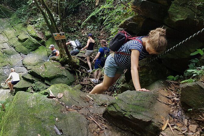 Hue to Bach Ma National Park: Trekking & Nature Adventure - Transportation, Group Size, and Value