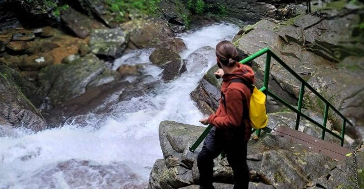 Hue to Da Nang/Hoi An via Bach Ma Trekking - Transfer From Hue to Da Nang/Hoi an