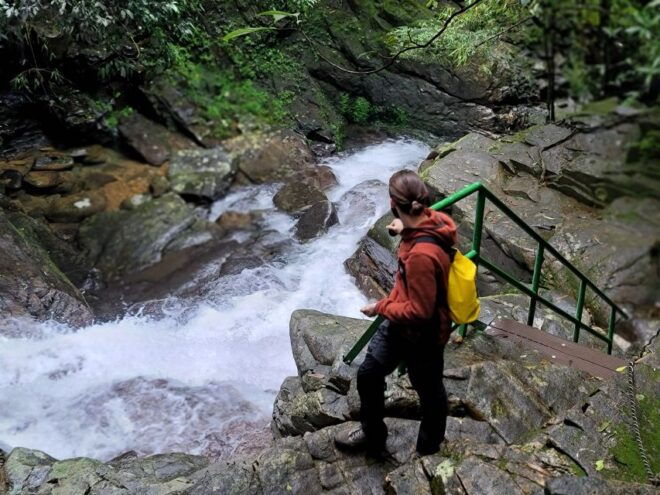 Hue to Da Nang/Hoi An via Bach Ma Trekking - Small Group Trekking Tour