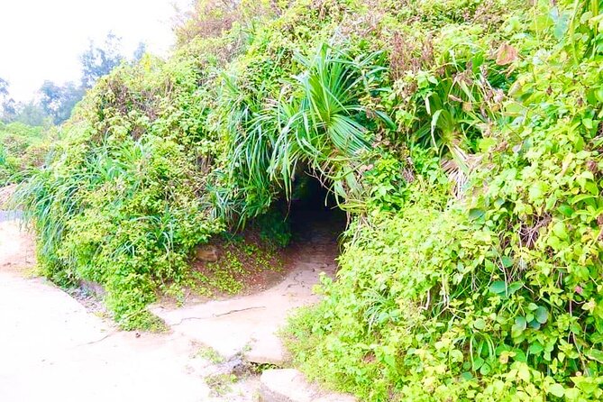 Hue To Phong Nha Cave Sightseeing Vinh Moc Tunnel DMZ - DMZ - Exploring the War Zone