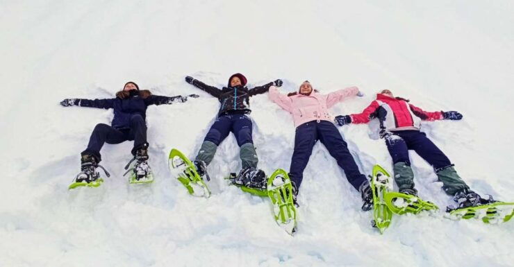 Huesca: Ordesa National Park Guided Snowshoeing Tour - Tour Booking and Logistics