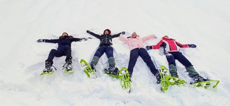Huesca: Ordesa National Park Guided Snowshoeing Tour - Activity Experience Details
