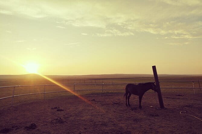 Huhhot Inner Mongolia 3 Days Xilamuren kubuqi Desert Nature Tour - Transportation and Overall Experience