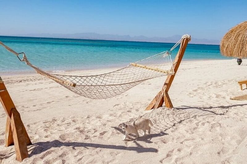 Hula Hula Island Sea Trip with lunch & Water Sports -Hurghada - Lunch and drinks keep the day simple