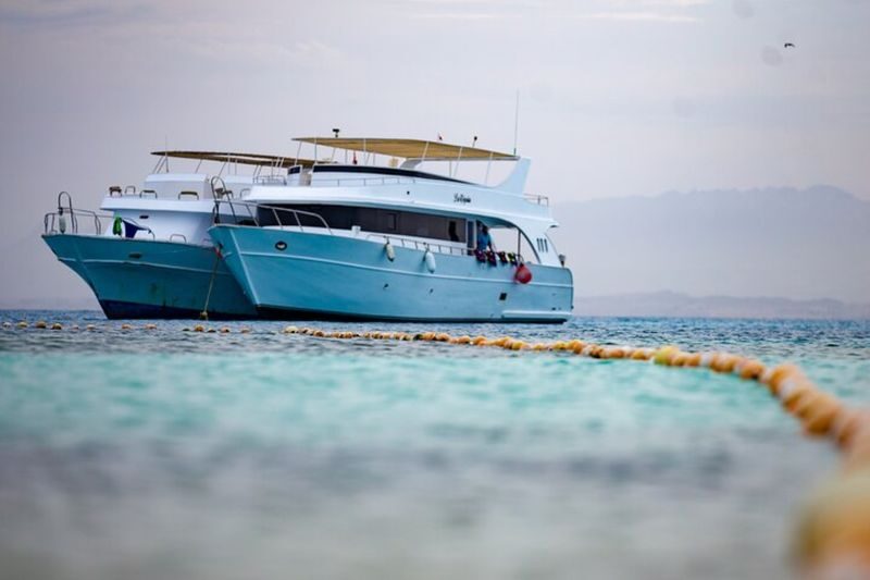 Hula Hula Island Sea Trip with lunch & Water Sports -Hurghada - Should you book the Hula Hula Island trip?