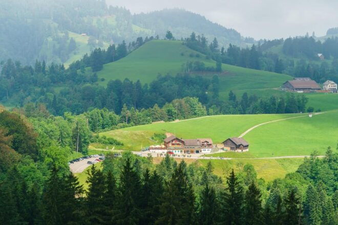 Hulftegg Mühle Rütli: Sunday Brunch / Breakfast Buffet - Guest Testimonials