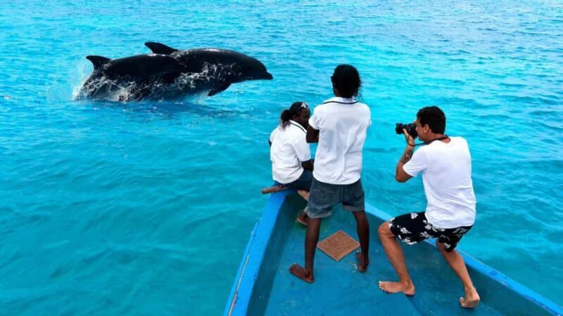 Hulhumale: Sunset Cruise with Snorkeling and Dolphins - Authentic Insights from Reviewers