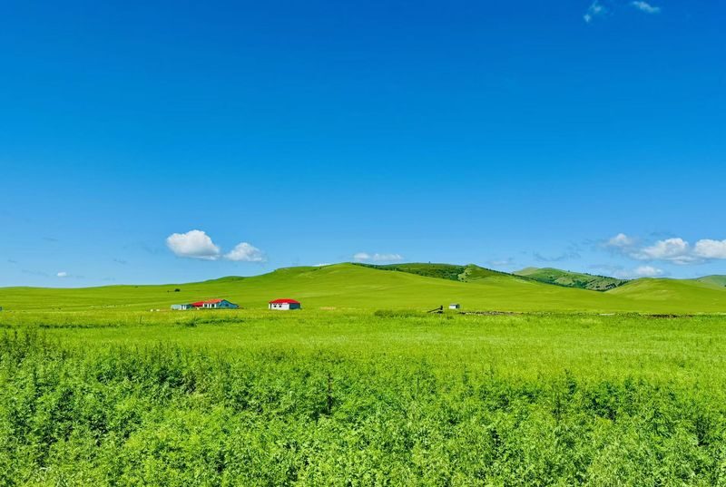 Hulunbuir Grassland & Ergun Wetland Small Group Day Tour - Two different settings in a single day