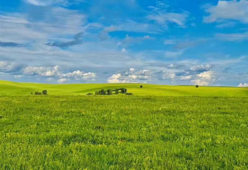 Hulunbuir Grassland & Ergun Wetland Small Group Day Tour - A careful look at the extra-payment concern