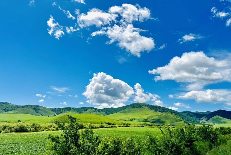 Hulunbuir Grassland & Ergun Wetland Small Group Day Tour - Is $56.75 good value?