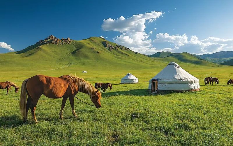 Hulunbuir Grassland & Ergun Wetland Small Group Day Tour - What the day’s outline does and does not tell you
