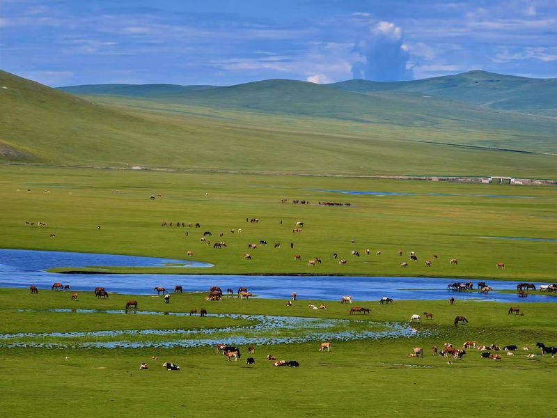 Hulunbuir Grassland & Ergun Wetland Small Group Day Tour - Booking advice and final verdict