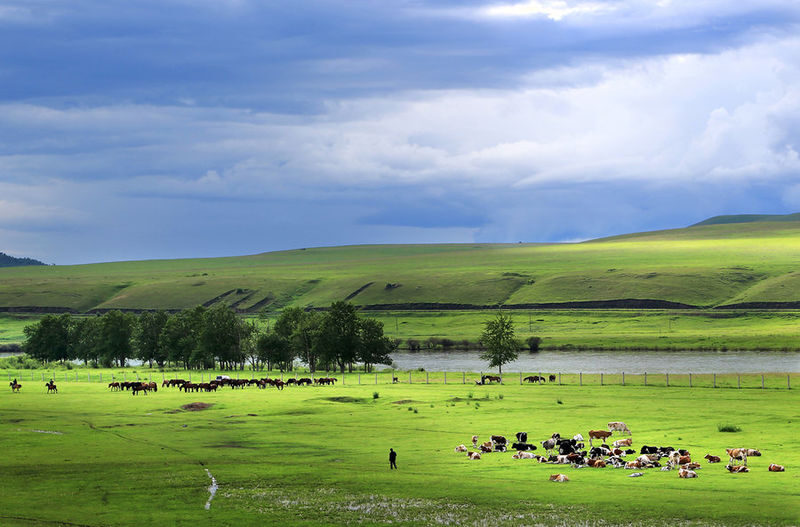 Hulunbuir Grassland Full-Day Nature Tour - A full day built around Hulunbuir’s open country