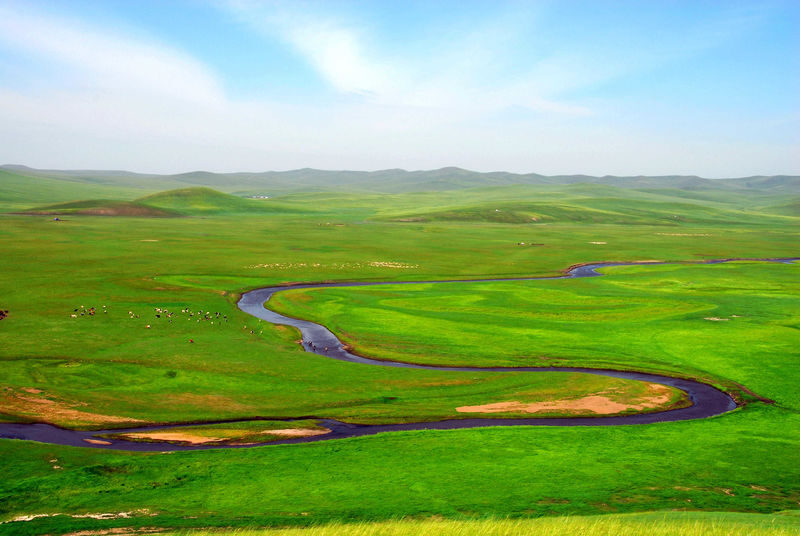 Hulunbuir Grassland Full-Day Nature Tour - Lunch: plan for a possible disappointment