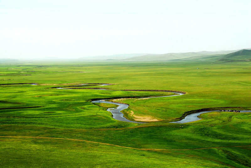 Hulunbuir Grassland Full-Day Nature Tour - Should you book it?