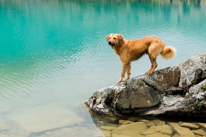 Humantay Lake Hike: 1 Full Day - Pickup Details