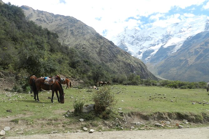 Humantay Lake Tour From Cusco - Recommended Packing List