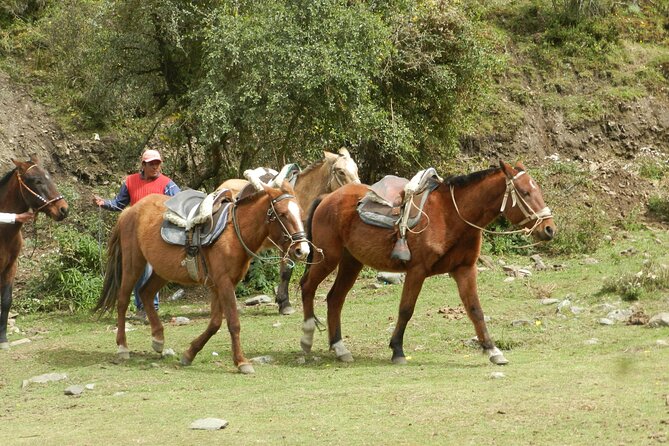 Humantay Lake Tour From Cusco - Booking and Cancellation Policy