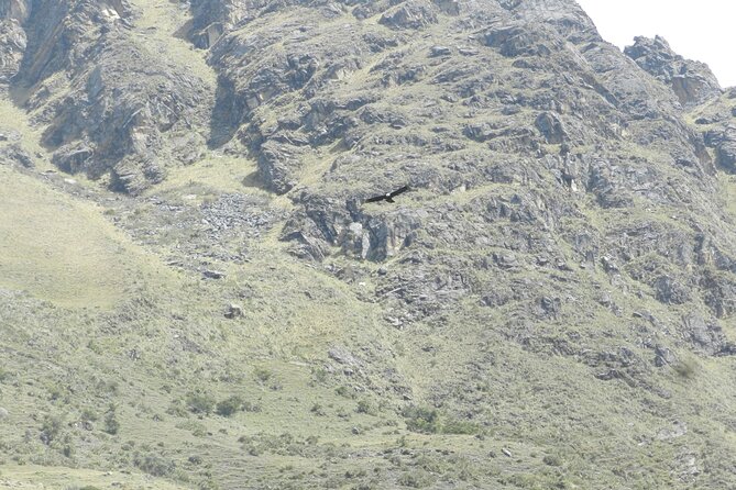 Humantay Lake Tour From Cusco - Safety and Guidelines