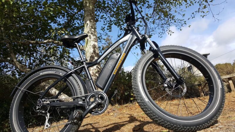 Humboldt: Electric Bike Rentals (4-Hour or Full Day options) - Good To Know