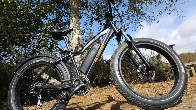 Humboldt: Electric Bike Rentals (4-Hour or Full Day options) - Practical Details and Tips