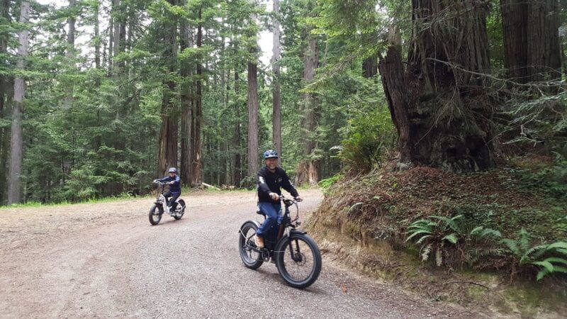 Humboldt: Electric Bike Rentals (4-Hour or Full Day options) - The Sum Up