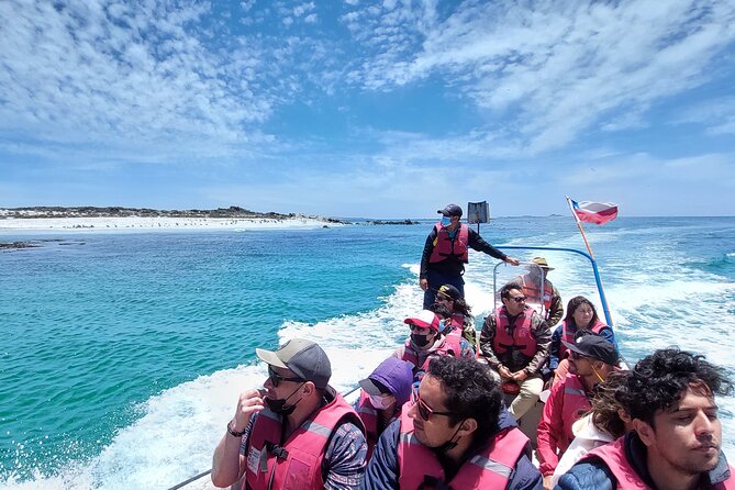 Humboldt Penguin Reserve Tour: Your Next Adventure - Tour Inclusions