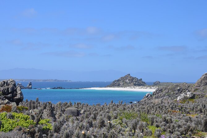 Humboldt Penguin Reserve Tour: Your Next Adventure - Meeting and Pickup Details