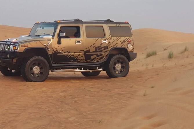 Hummer Desert Safari Tour - Reviews and Ratings