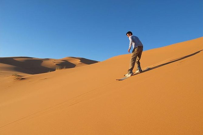 Hummer Desert Safari Tour Dubai - Tour Highlights