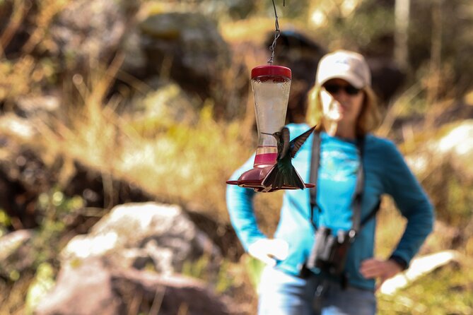 Hummingbirds of the Sacred Valley - Cusco - Interesting Facts About Hummingbirds