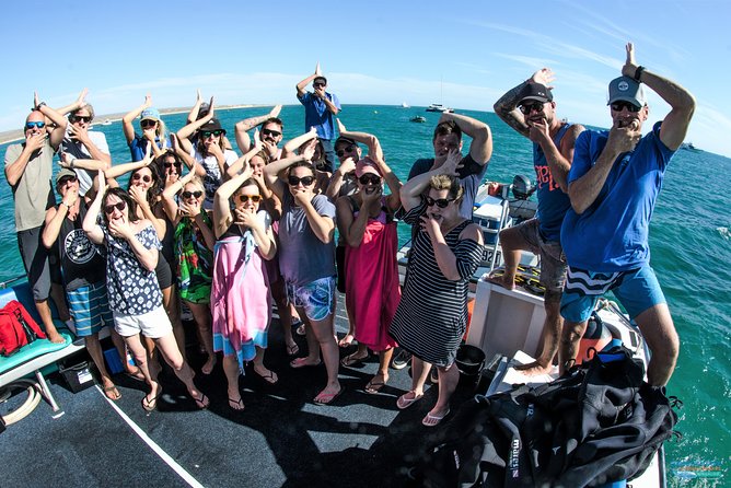 Humpback or Whaleshark Swim Ningaloo Reef - Traveler Photos and Reviews
