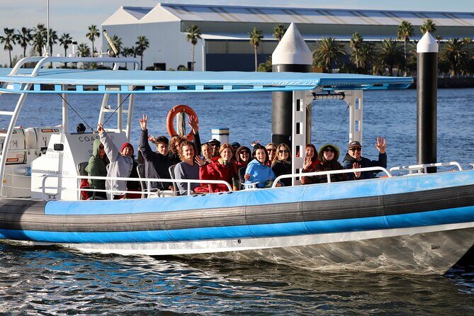 Humpback Whale Encounter Tour from Newcastle - Authentic Encounters and What Reviewers Say