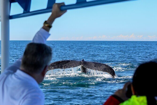 Humpback Whale Encounter Tour from Newcastle - Final Thoughts
