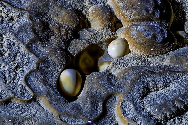 Hung Thoong Exploration 3 Days 2 Nights - Transfers and Accessibility