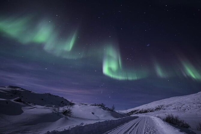 Hunt the Magical Northern Lights Bus Tour - Inclusions