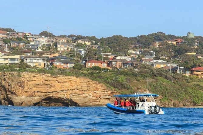 Hunter Coastal Adventure Tour by Boat from Newcastle - Practical Details and Tips